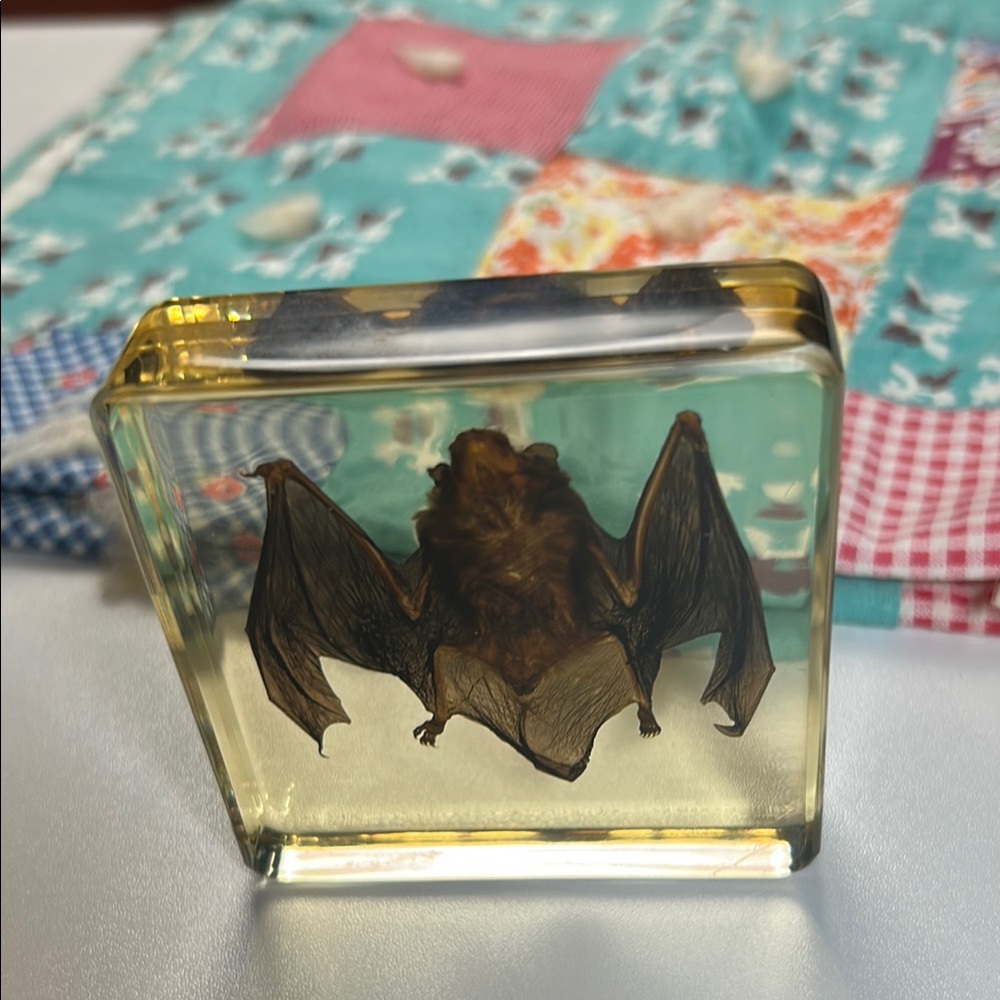 Vintage Golden Brown Bat Resin
